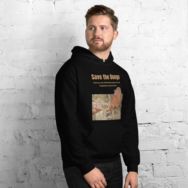 Unisex Hoodie, save the bongo - Image 4