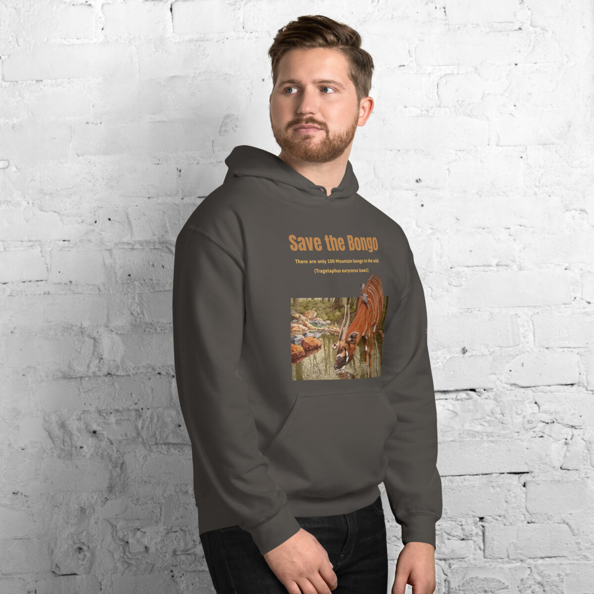 Unisex Hoodie, save the bongo - Image 24