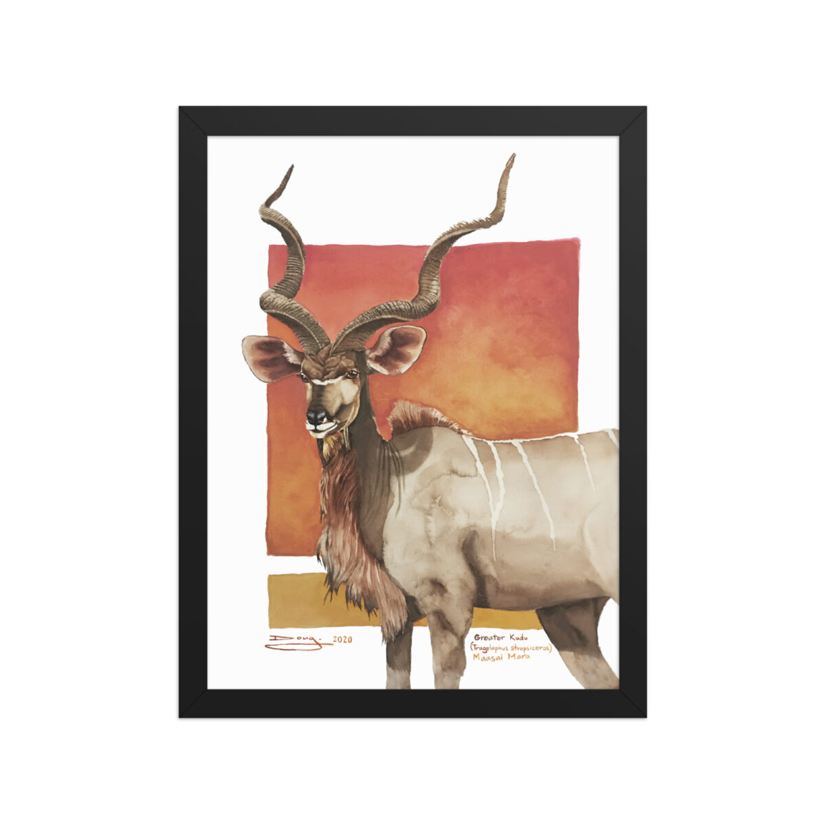 Framed poster, save th eKudu - Image 2