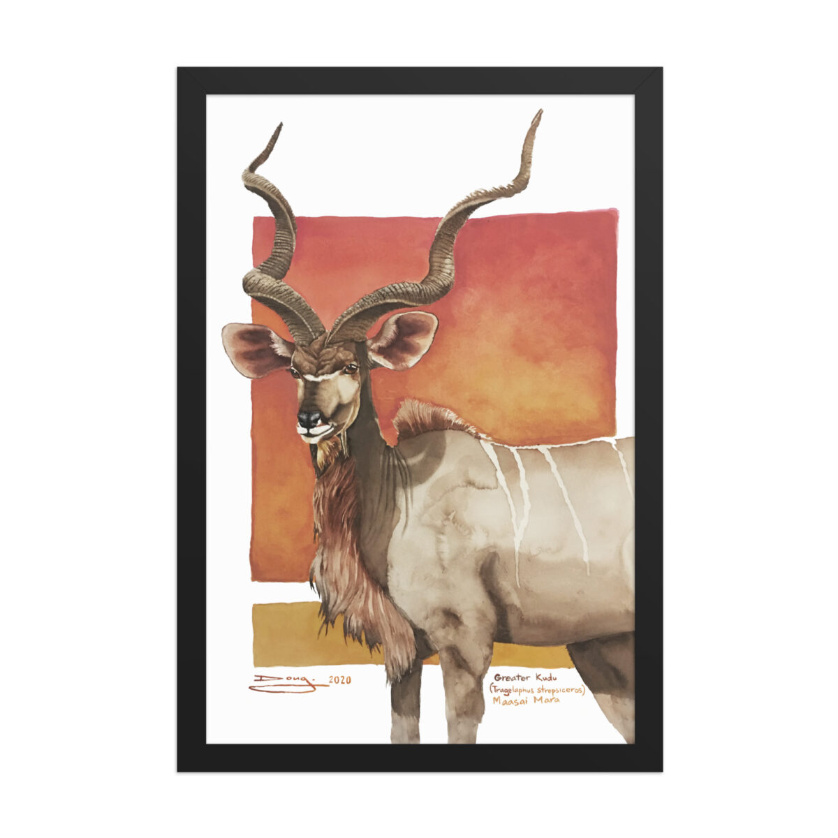 Framed poster, save th eKudu - Image 3