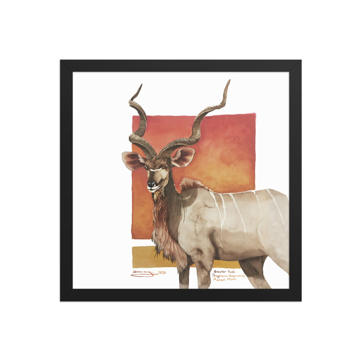 Framed poster, save th eKudu - Image 4