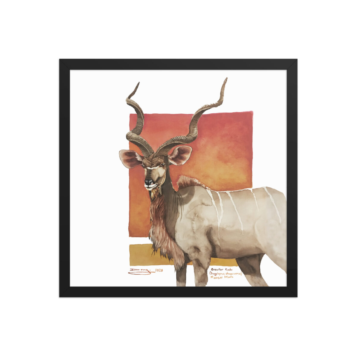 Framed poster, save th eKudu - Image 5