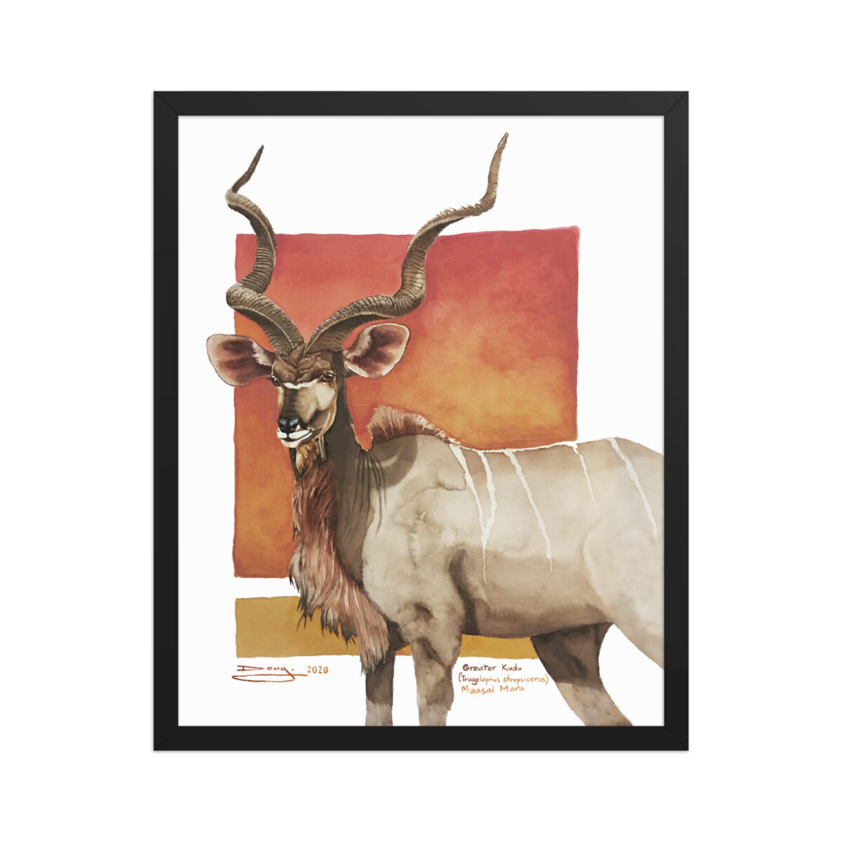 Framed poster, save th eKudu - Image 6