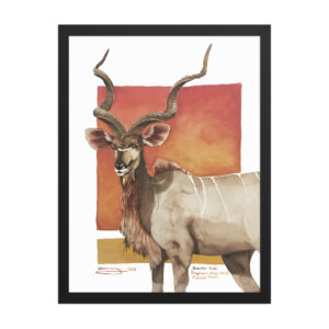 Framed poster, save th eKudu