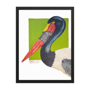 Framed poster, save Lake Naivasha (saddle-billed stork)