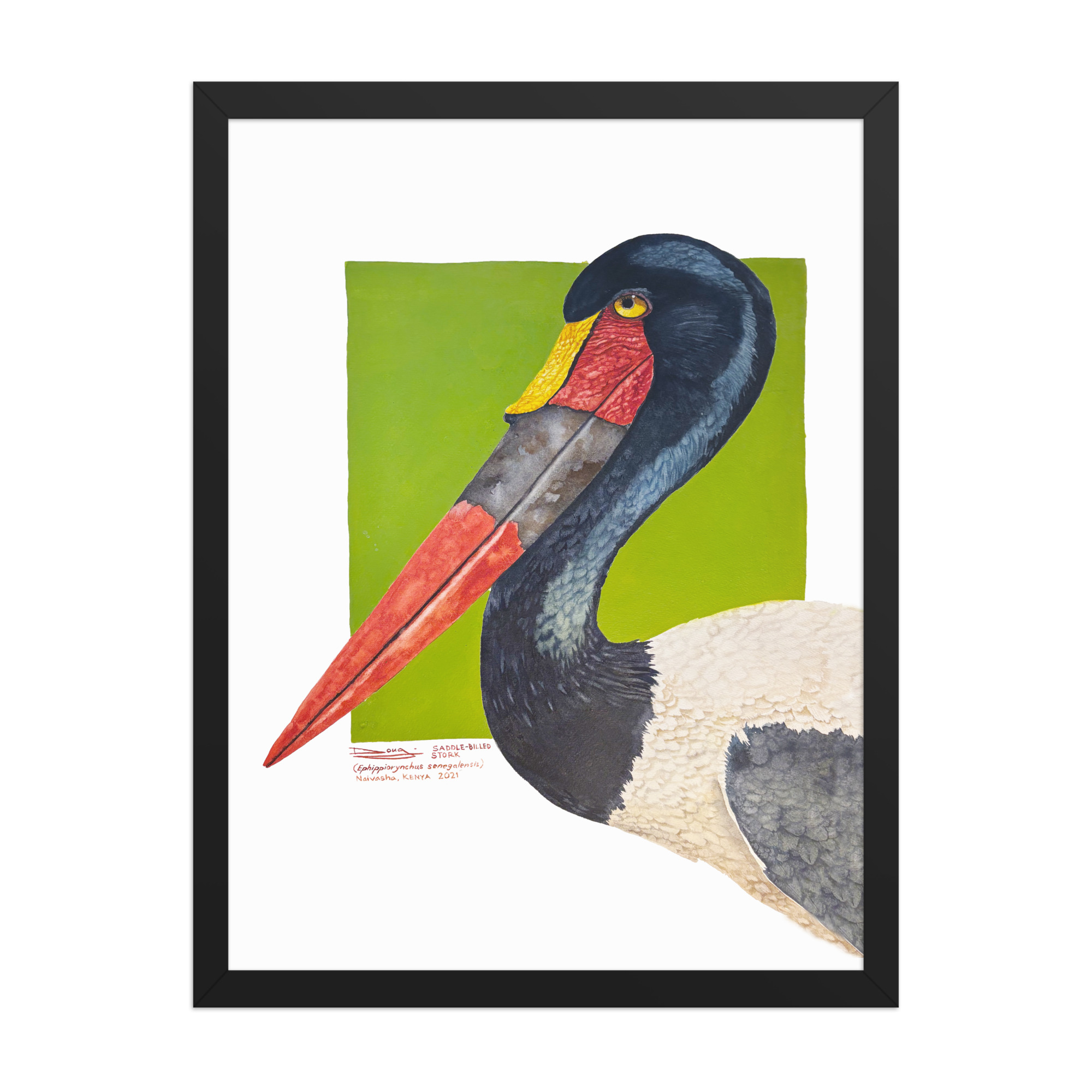 Framed poster, saddle-billed-stork