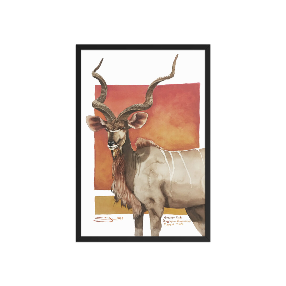 Framed poster, save th eKudu - Image 8