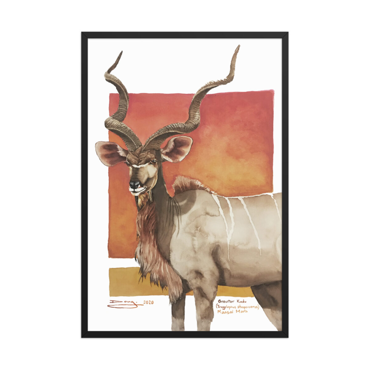 Framed poster, save th eKudu - Image 9