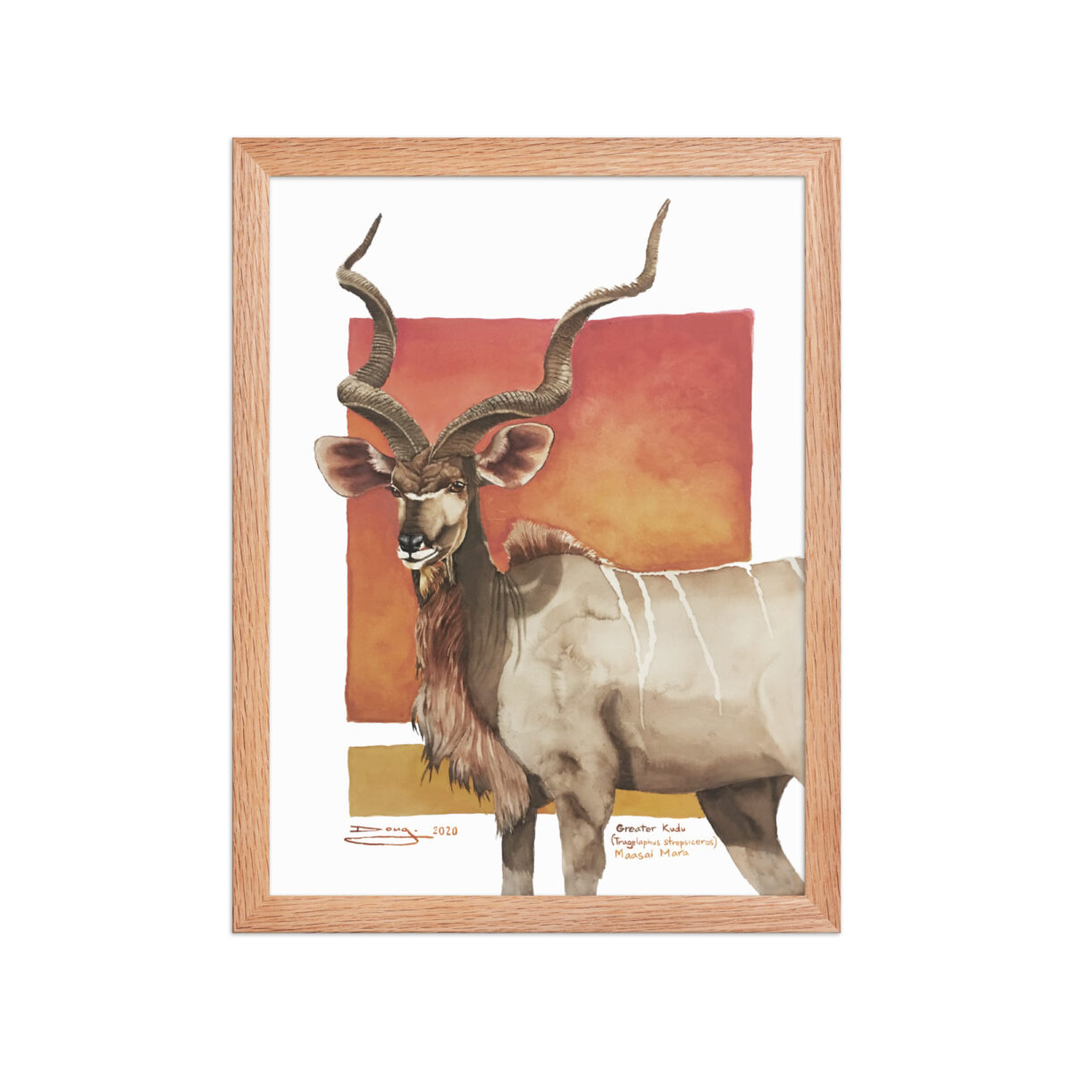 Framed poster, save th eKudu - Image 10