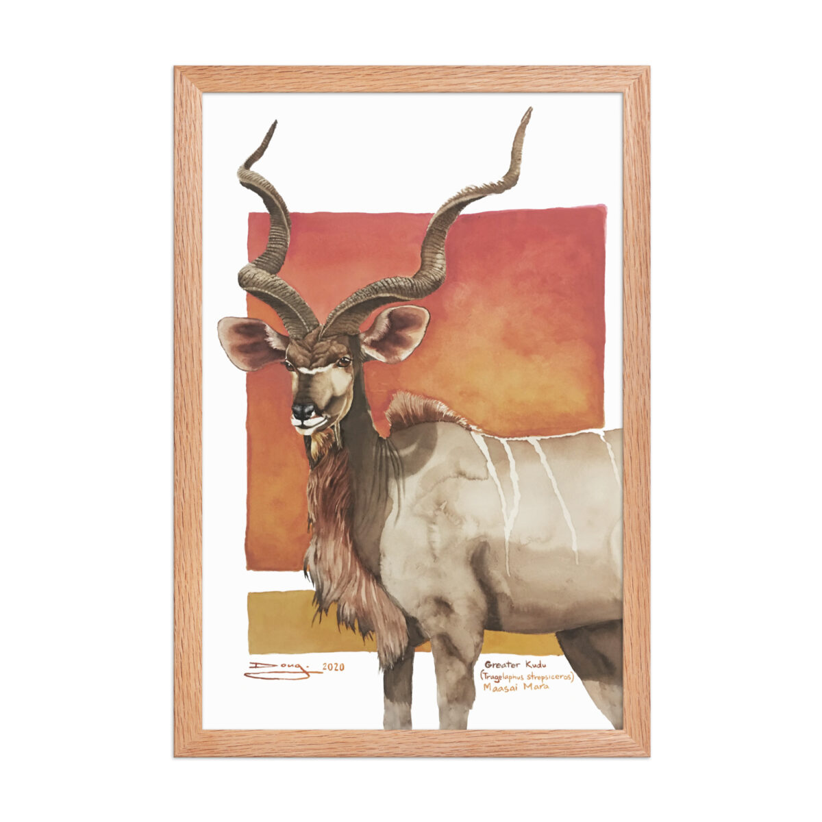 Framed poster, save th eKudu - Image 11