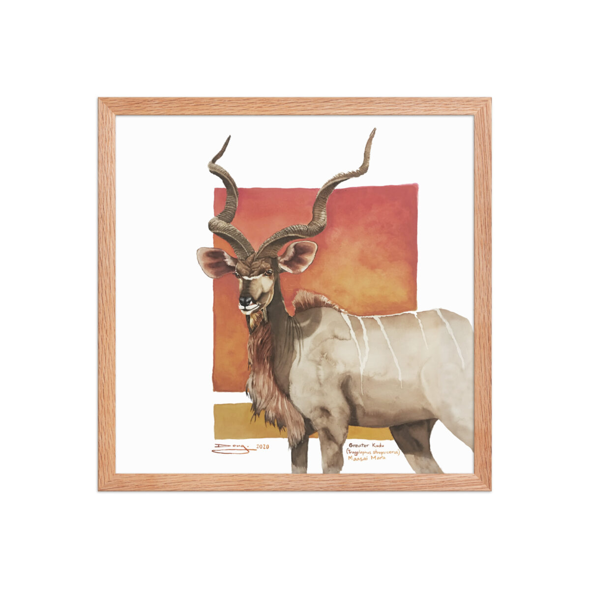 Framed poster, save th eKudu - Image 13