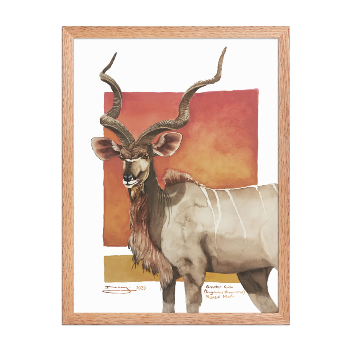 Framed poster, save th eKudu - Image 16