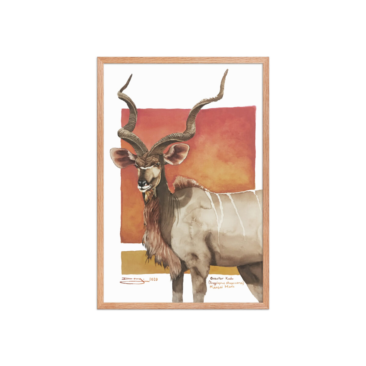 Framed poster, save th eKudu - Image 17