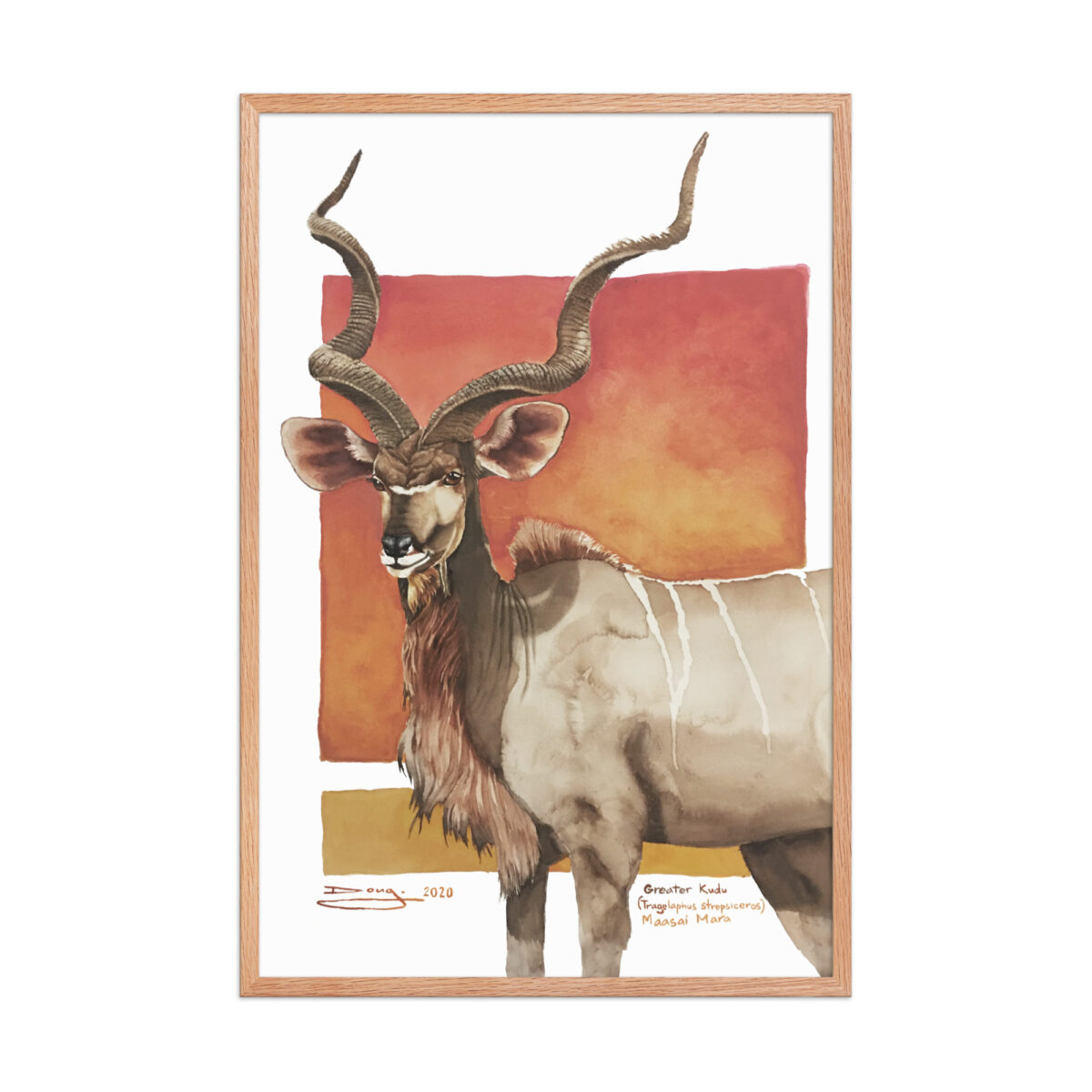 Framed poster, save th eKudu - Image 18