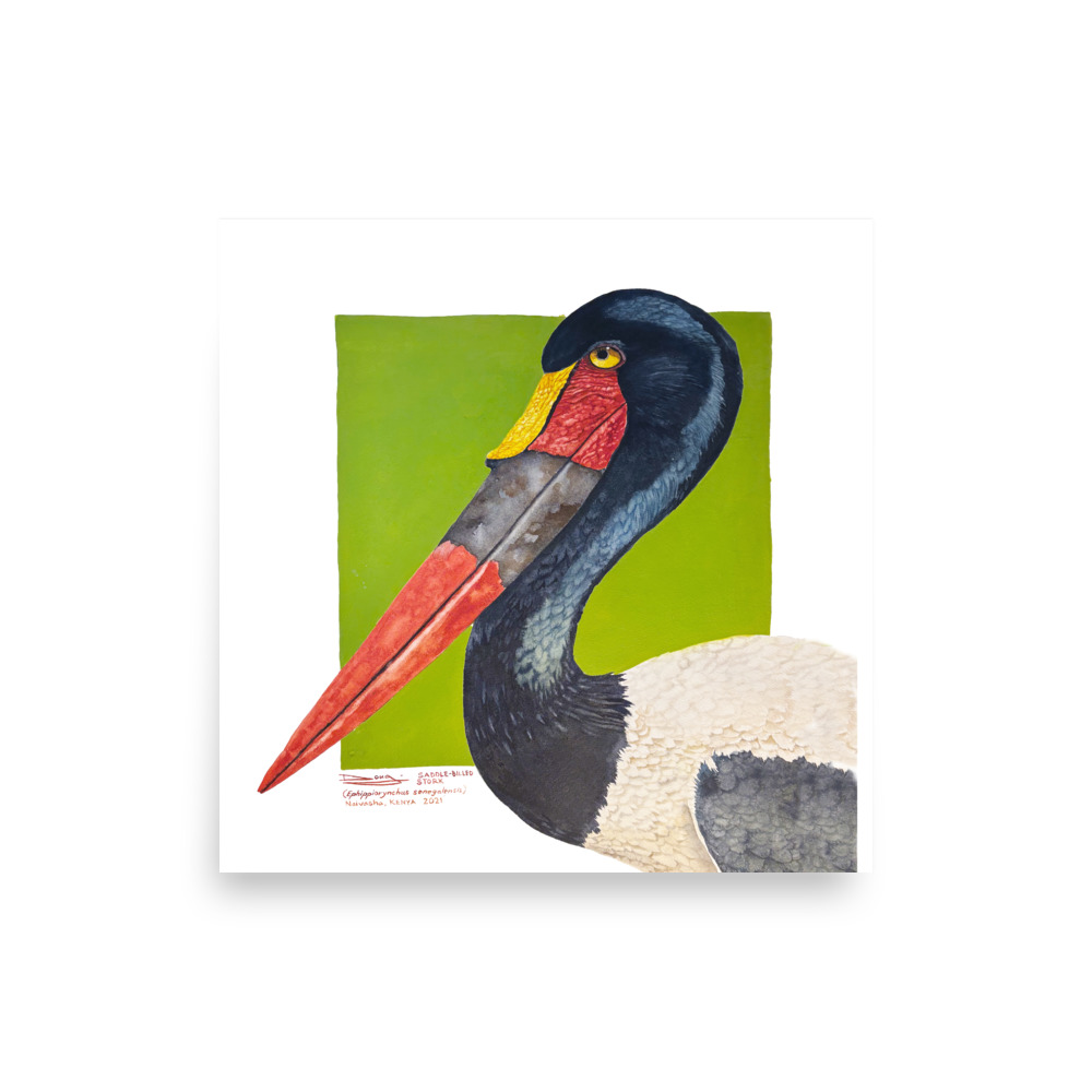 Unframe Poster, saddle-billed stork