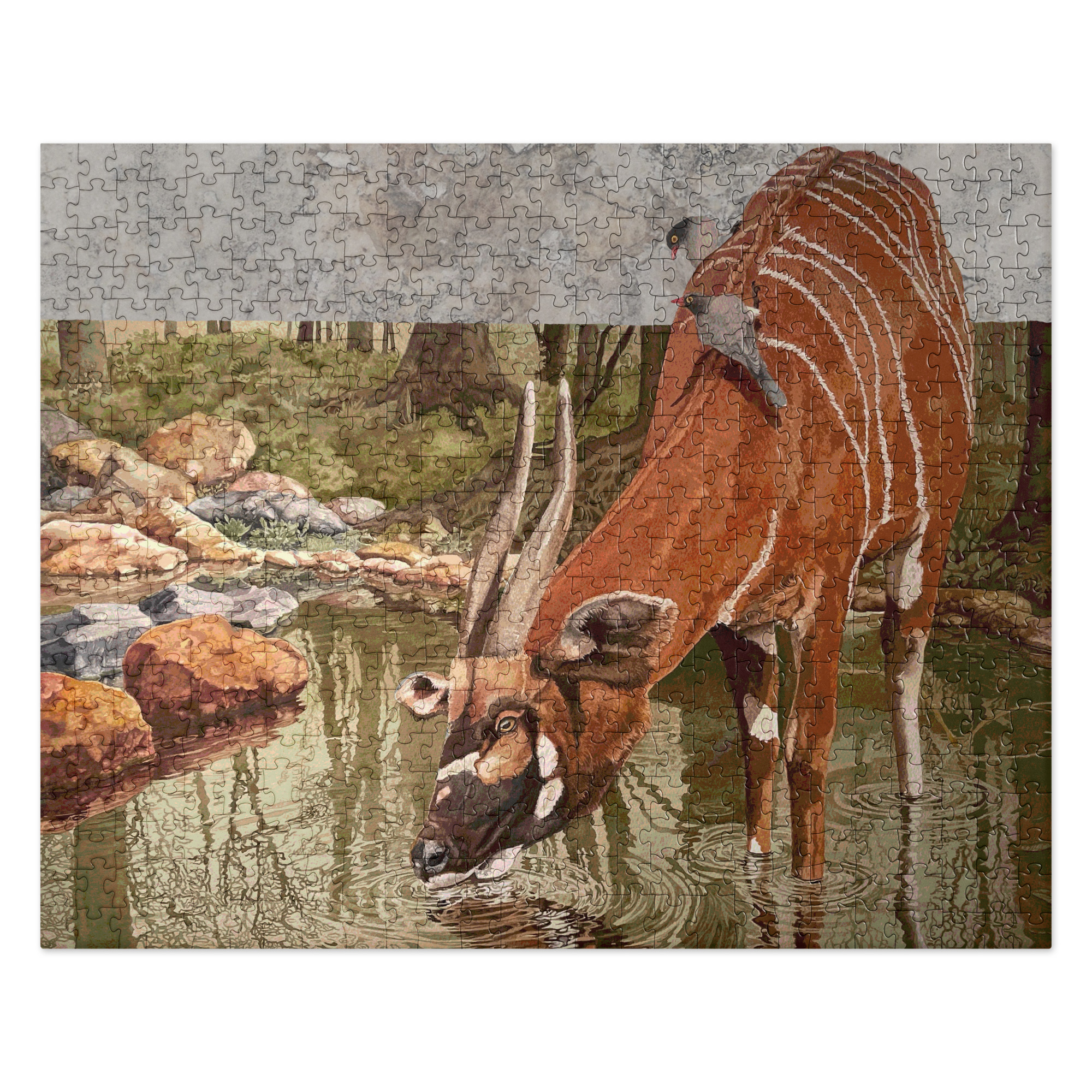 Jigsaw puzzle, Miountain Bongo