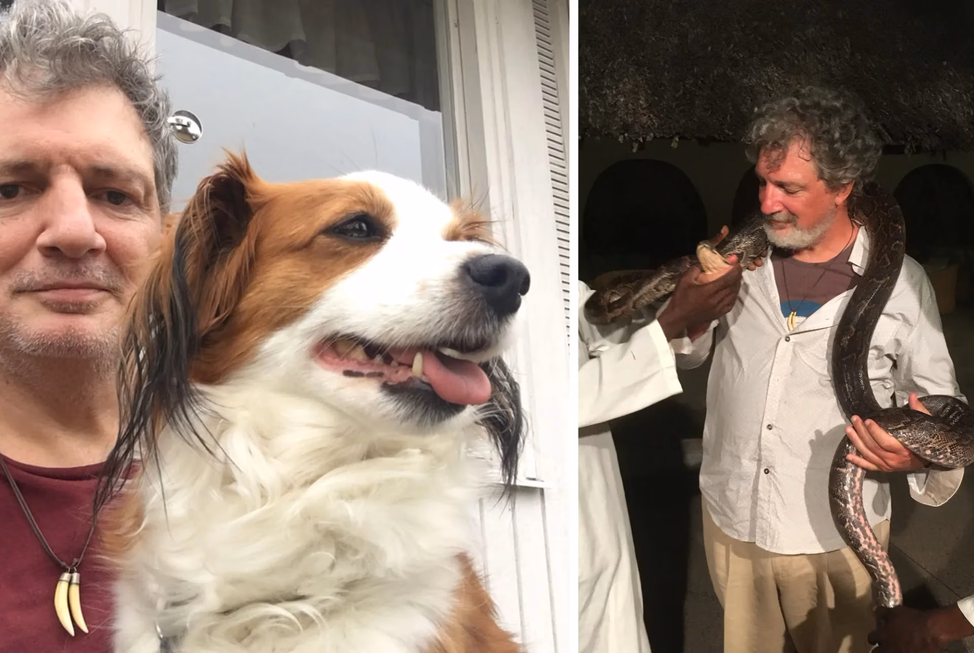 homeslide_0020_snoops-snake