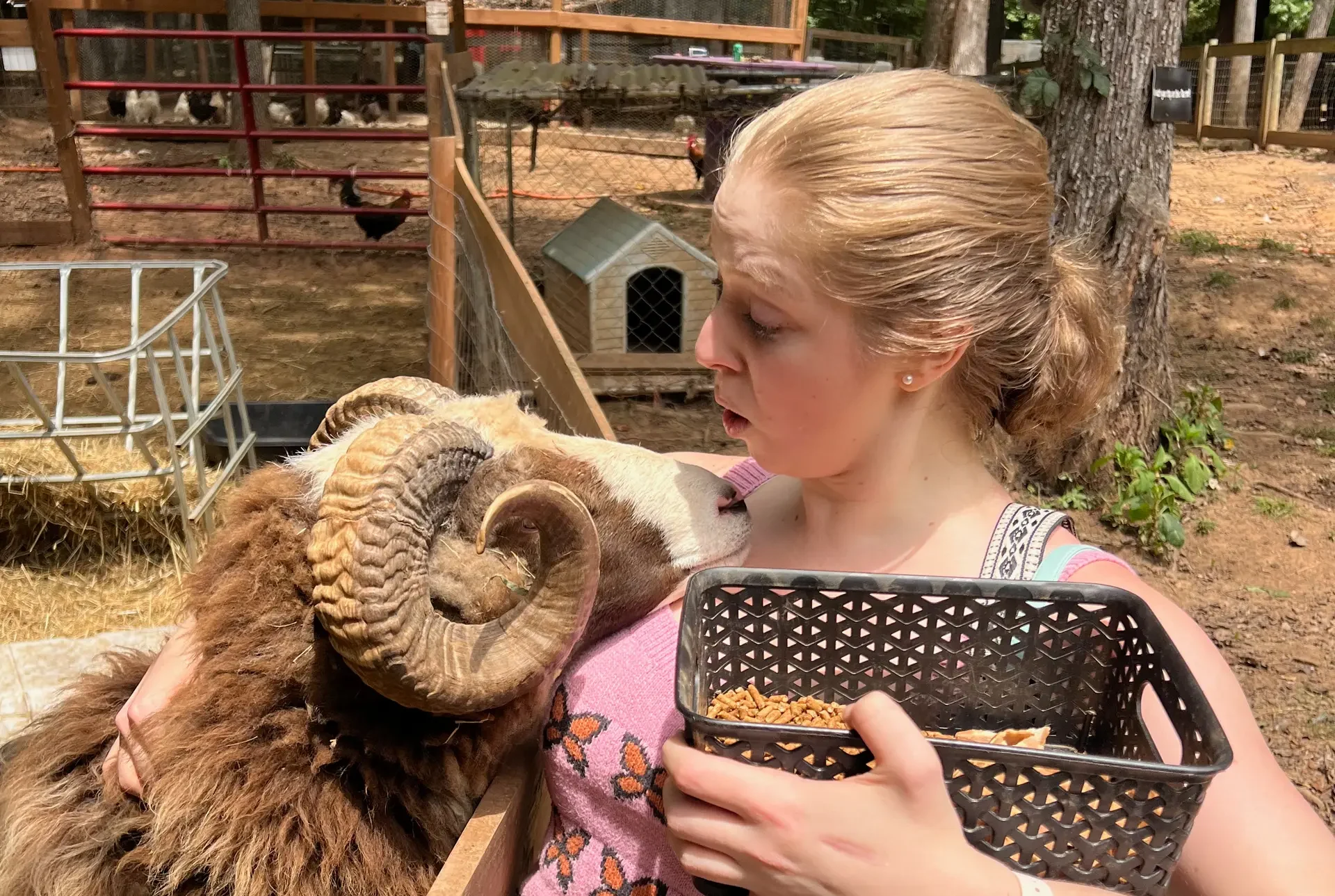 Nathalie and Sheep, Atlanta