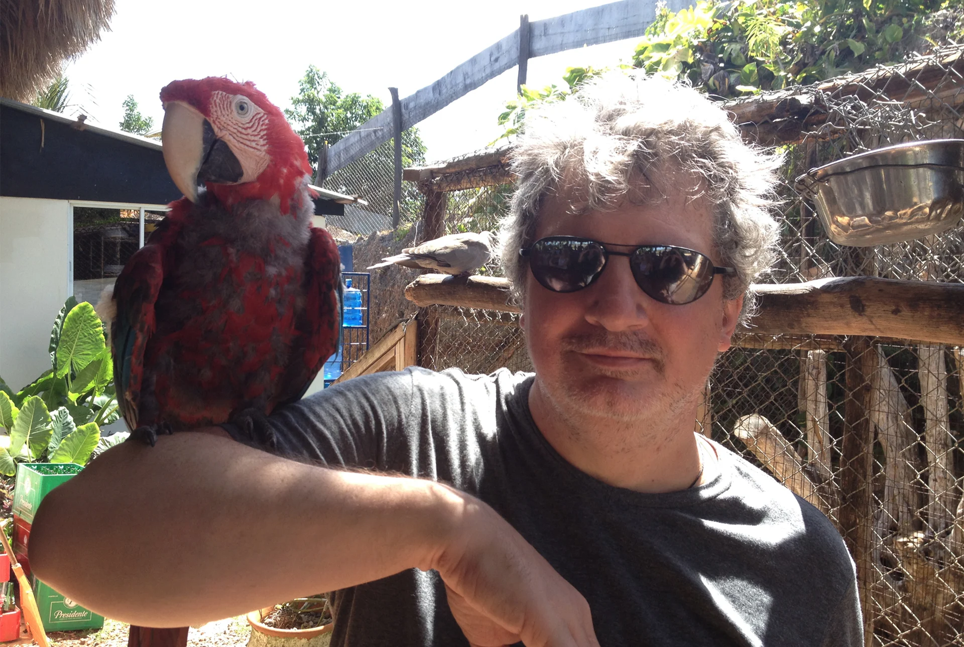 Me and Scarlet Macaw, Dominican Republic