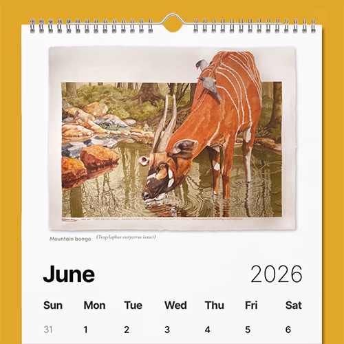 Calendars