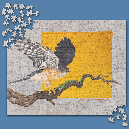 Jigsaw Puzzles